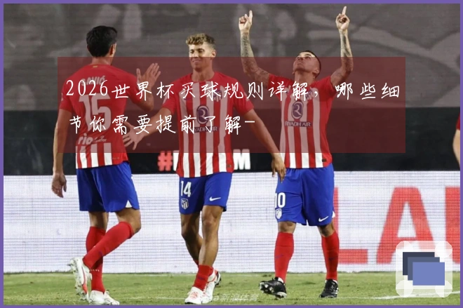 2026世界杯买球规则详解，哪些细节你需要提前了解-