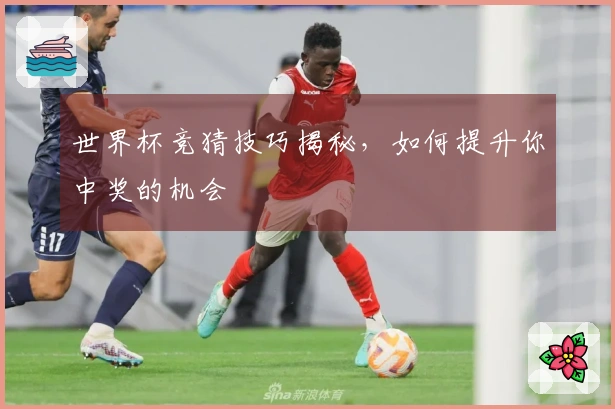 世界杯竞猜技巧揭秘，如何提升你中奖的机会