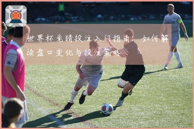 世界杯竞猜投注入门指南：如何解读盘口变化与投注策略