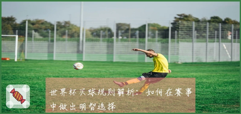 世界杯买球规则解析：如何在赛事中做出明智选择