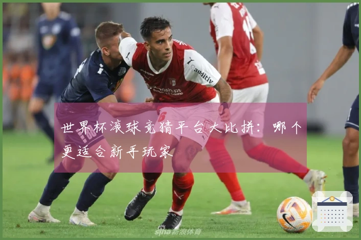 世界杯滚球竞猜平台大比拼：哪个更适合新手玩家