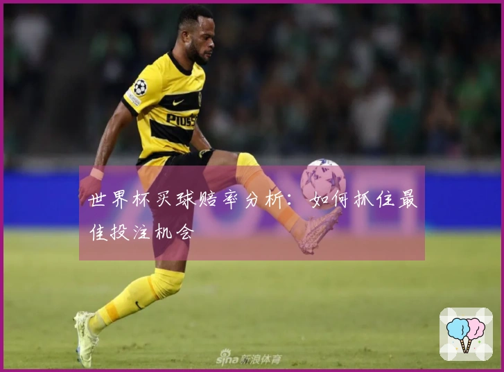 世界杯买球赔率分析：如何抓住最佳投注机会