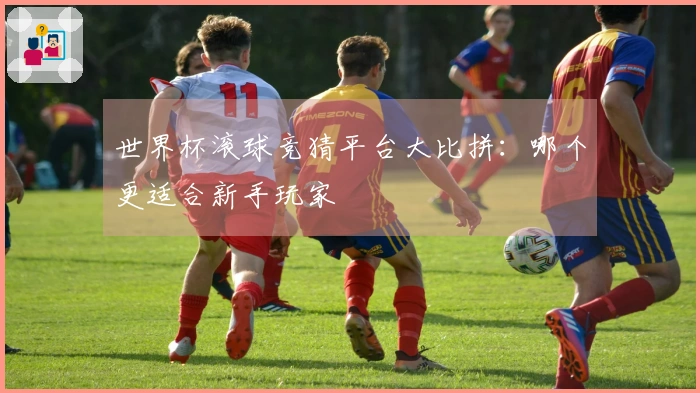 世界杯滚球竞猜平台大比拼：哪个更适合新手玩家