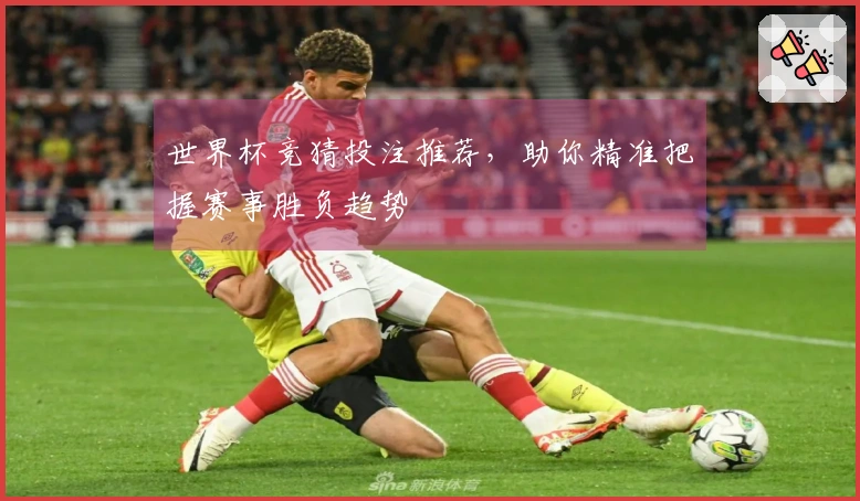 世界杯竞猜投注推荐，助你精准把握赛事胜负趋势