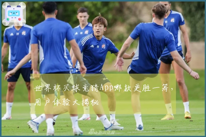 世界杯买球竞猜App哪款更胜一筹，用户体验大揭秘