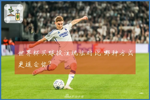 世界杯买球投注玩法对比 哪种方式更适合你？