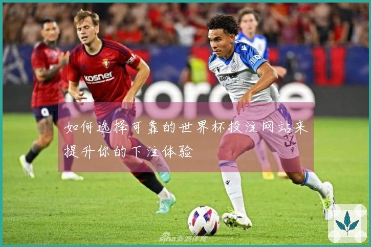 如何选择可靠的世界杯投注网站来提升你的下注体验