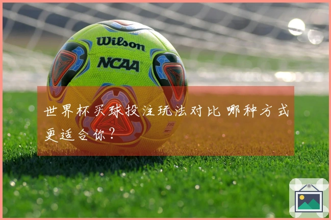 世界杯买球投注玩法对比 哪种方式更适合你？